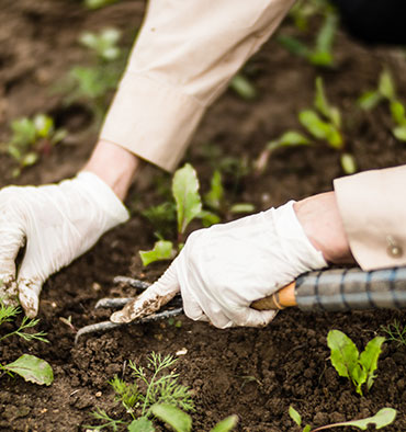portrait of smiling gardener in apron holding digital tablet in hands while standing in garden
