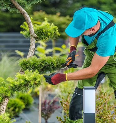 portrait of smiling gardener in apron holding digital tablet in hands while standing in garden