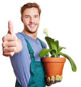 Need a Landscaper for Your Outdoors?